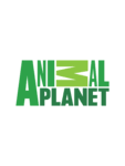 Animal Planet